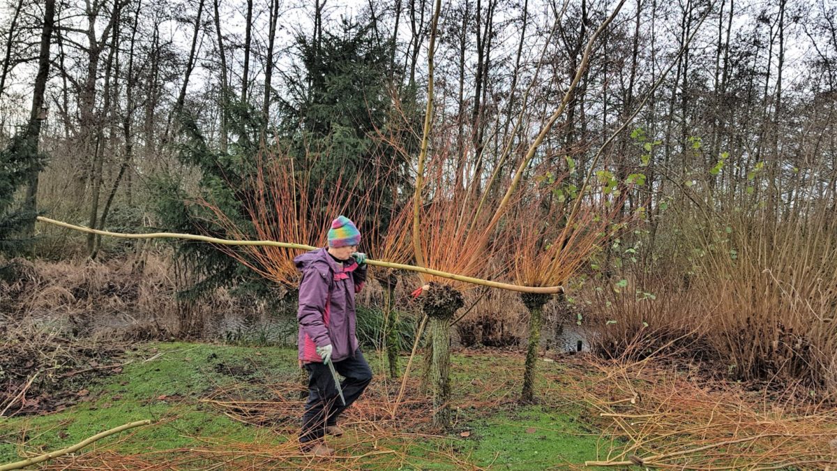 Vrijwilligers Heemtuin Goudse Hout